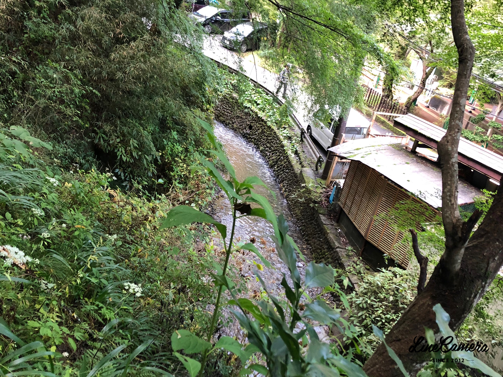 WeChat Image_20191126235137